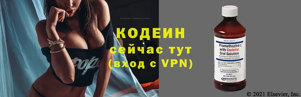 дмт Арсеньев