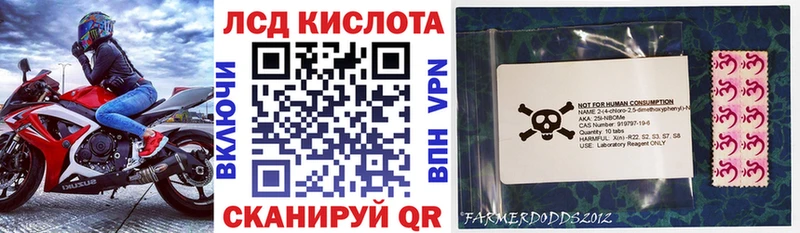 Купить закладки  Богучар  Марки 25I-NBOMe 1,8мг 
